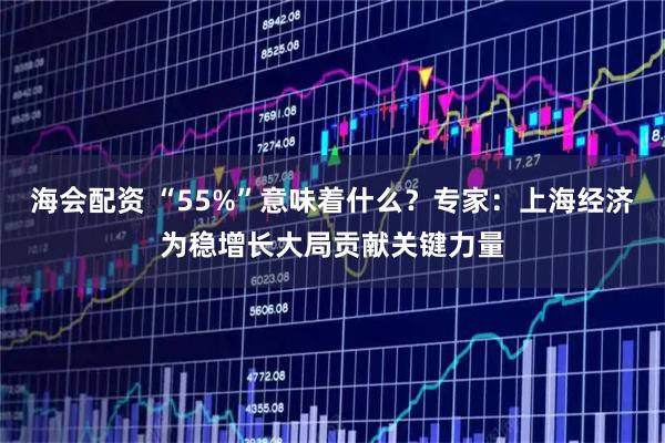 海会配资 “55%”意味着什么？专家：上海经济为稳增长大局贡献关键力量