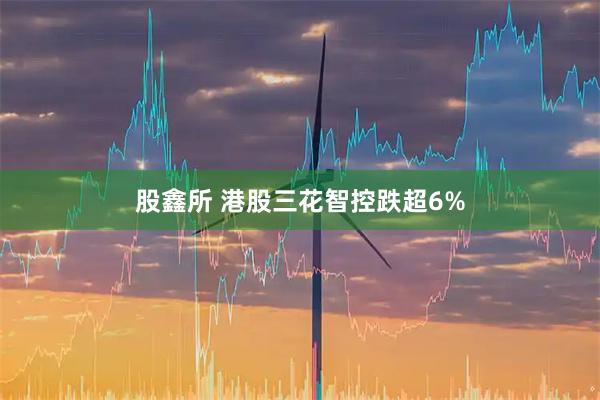 股鑫所 港股三花智控跌超6%