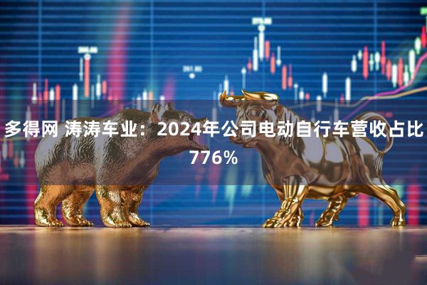 多得网 涛涛车业：2024年公司电动自行车营收占比776%