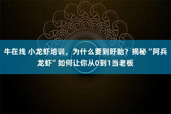 牛在线 小龙虾培训，为什么要到盱眙？揭秘“阿兵龙虾”如何让你从0到1当老板