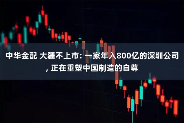 中华金配 大疆不上市: 一家年入800亿的深圳公司, 正在重塑中国制造的自尊