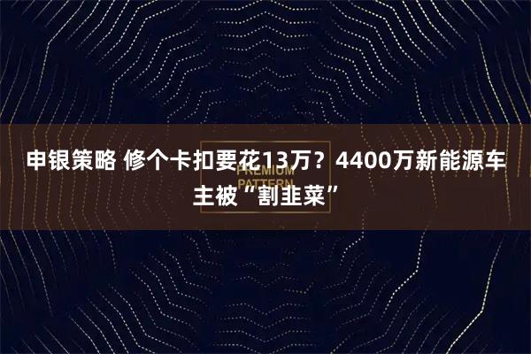 申银策略 修个卡扣要花13万？4400万新能源车主被“割韭菜”