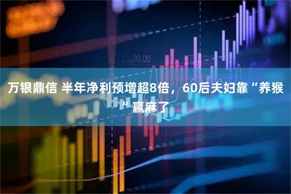 万银鼎信 半年净利预增超8倍，60后夫妇靠“养猴”赢麻了